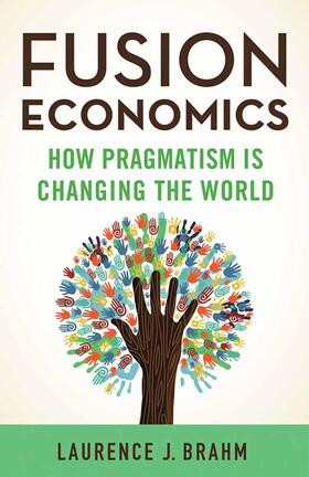 Brahm | Fusion Economics | Buch | 978-1-349-49556-6 | sack.de