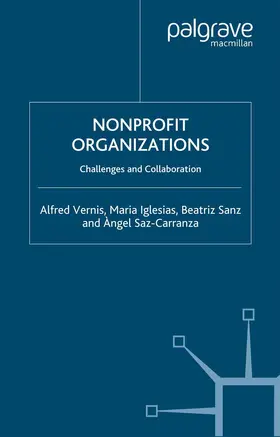 Vernis / Iglesias / Sanz |  Nonprofit Organizations | Buch |  Sack Fachmedien