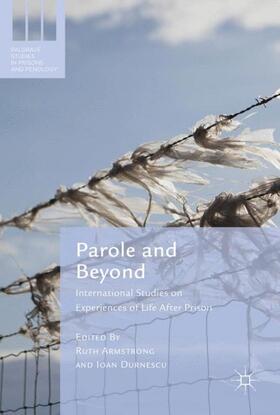 Durnescu / Armstrong |  Parole and Beyond | Buch |  Sack Fachmedien