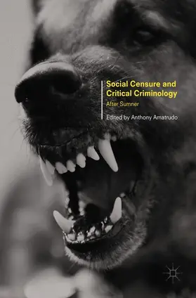 Amatrudo | Social Censure and Critical Criminology | Buch | 978-1-349-95220-5 | sack.de