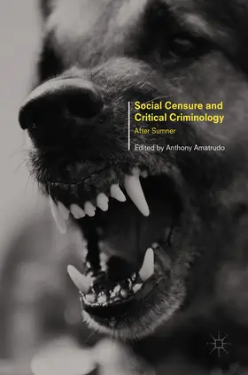 Amatrudo | Social Censure and Critical Criminology | E-Book | sack.de