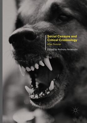Amatrudo | Social Censure and Critical Criminology | Buch | sack.de