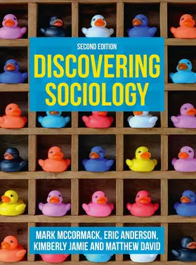 Mccormack / Anderson / Jamie | Discovering Sociology | Buch | 978-1-352-01144-9 | sack.de