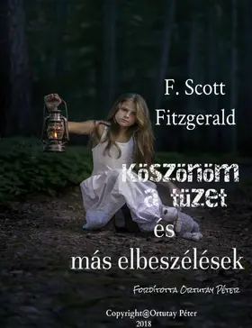 Fitzgerald |  Köszönöm a tüzet és más elbeszélések | eBook | Sack Fachmedien