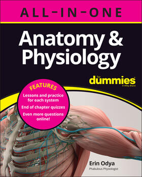 Odya | Anatomy & Physiology All-in-One For Dummies (+ Chapter Quizzes Online) | Buch | 978-1-394-15365-7 | sack.de