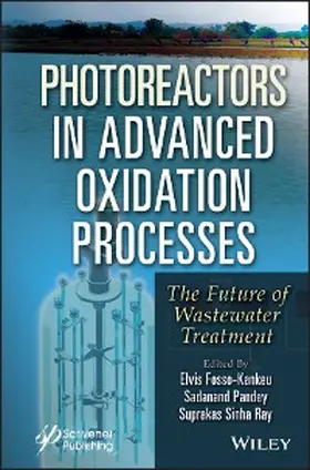 Fosso-Kankeu / Pandey / Ray |  Photoreactors in Advanced Oxidation Process | eBook | Sack Fachmedien