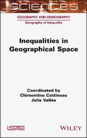 Cottineau / Vallee |  Inequalities in Geographical Space | eBook | Sack Fachmedien