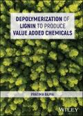 Bajpai |  Depolymerization of Lignin to Produce Value Added Chemicals | eBook | Sack Fachmedien