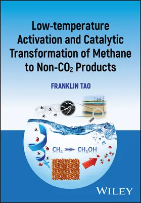 Tao |  Low-temperature Activation and Catalytic Transformation of Methane to Non-CO2 Products | Buch |  Sack Fachmedien