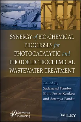 Pandey / Fosso-Kankeu / Pandit |  Synergy of Bio-Chemical Processes for Photocatalytic and Photoelectrochemical Wastewater Treatment | Buch |  Sack Fachmedien