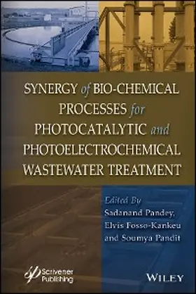 Pandey / Fosso-Kankeu / Pandit | Synergy of Bio-Chemical Processes for Photocatalytic and Photoelectrochemical Wastewater Treatment | E-Book | sack.de