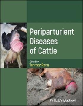 Rana |  Periparturient Diseases of Cattle | eBook | Sack Fachmedien