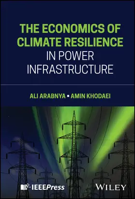 Arabnya / Khodaei |  The Economics of Climate Resilience in Power Infrastructure | Buch |  Sack Fachmedien