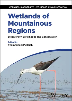 Pullaiah |  Wetlands of Mountainous Regions | Buch |  Sack Fachmedien