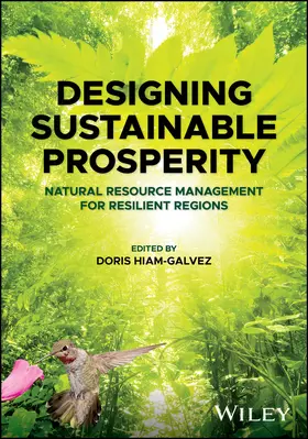 Hiam-Galvez |  Designing Sustainable Prosperity | Buch |  Sack Fachmedien