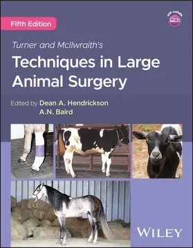 Hendrickson |  Turner and McIlwraith's Techniques in Large Animal Surgery | Buch |  Sack Fachmedien