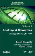 Masquida / Leclerc |  Looking at Ribozymes | eBook | Sack Fachmedien