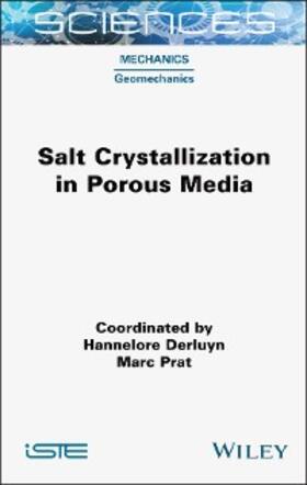 Derluyn / Prat | Salt Crystallization in Porous Media | E-Book | sack.de