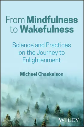 Chaskalson |  From Mindfulness to Wakefulness | Buch |  Sack Fachmedien
