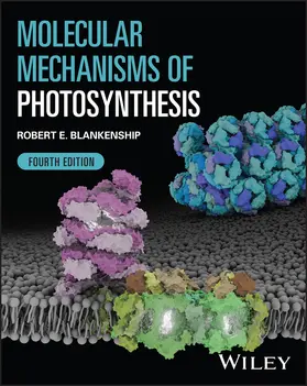 Blankenship |  Molecular Mechanisms of Photosynthesis | Buch |  Sack Fachmedien