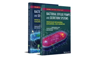 Prasad / Busi / Pattnaik |  Bacterial Efflux Pumps and Secretion Systems: Mole cular Mechanisms, Challenges, and Inhibitors 2 Vol ume Set | Buch |  Sack Fachmedien