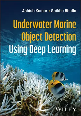 Kumar |  Intelligent Surveillance of Marine Objects using Deep Learning | Buch |  Sack Fachmedien
