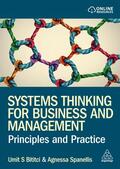 Bititci / Spanellis |  Systems Thinking for Business and Management | Buch |  Sack Fachmedien