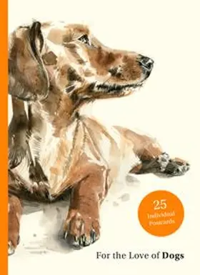 Sampson |  For the Love of Dogs | Buch |  Sack Fachmedien