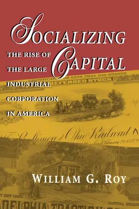 Roy |  Socializing Capital | eBook | Sack Fachmedien