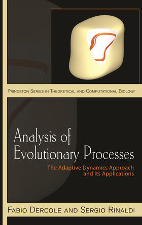 Dercole / Rinaldi | Analysis of Evolutionary Processes | E-Book | sack.de