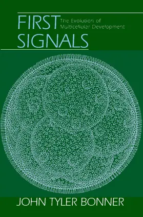 Bonner |  First Signals | eBook | Sack Fachmedien