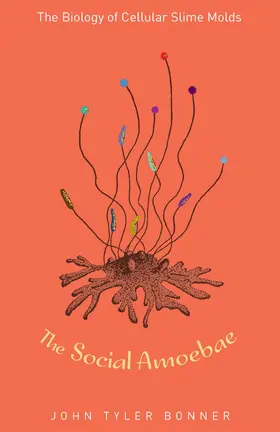Bonner |  The Social Amoebae | eBook | Sack Fachmedien
