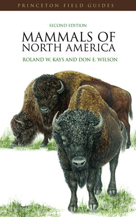 Kays / Wilson |  Mammals of North America | eBook | Sack Fachmedien