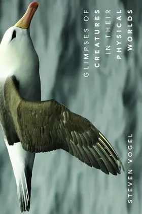 Vogel | Glimpses of Creatures in Their Physical Worlds | E-Book | www.sack.de