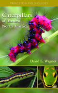 Wagner |  Caterpillars of Eastern North America | eBook | Sack Fachmedien