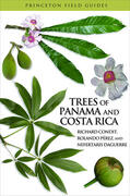Condit / Pérez / Daguerre |  Trees of Panama and Costa Rica | eBook | Sack Fachmedien