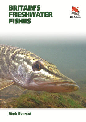Everard |  Britain's Freshwater Fishes | eBook | Sack Fachmedien