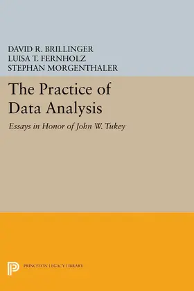 Brillinger / Fernholz / Morgenthaler |  The Practice of Data Analysis | eBook | Sack Fachmedien