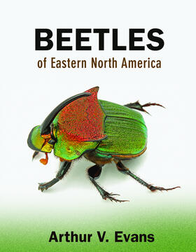 Evans | Beetles of Eastern North America | E-Book | sack.de