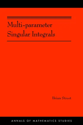 Street |  Multi-parameter Singular Integrals, Volume I | eBook | Sack Fachmedien