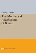 Currey |  The Mechanical Adaptations of Bones | eBook | Sack Fachmedien