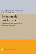 Lison-Tolosana / Fernandez |  Belmonte De Los Caballeros | eBook | Sack Fachmedien