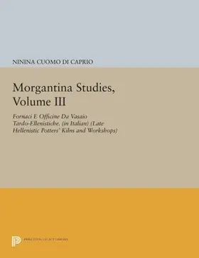 Cuomo di Caprio |  Morgantina Studies, Volume III | eBook | Sack Fachmedien