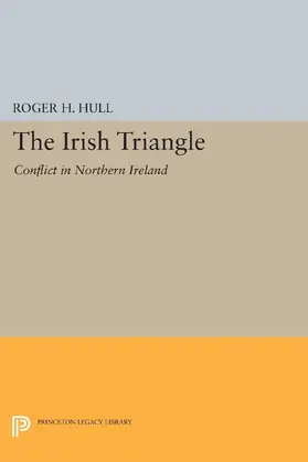 Hull |  The Irish Triangle | eBook | Sack Fachmedien