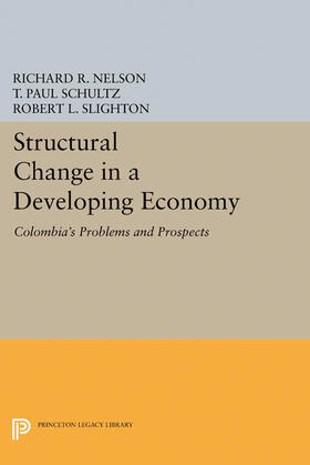 Nelson / Schultz / Slighton | Structural Change in a Developing Economy | E-Book | sack.de