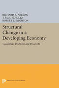 Nelson / Schultz / Slighton |  Structural Change in a Developing Economy | eBook | Sack Fachmedien