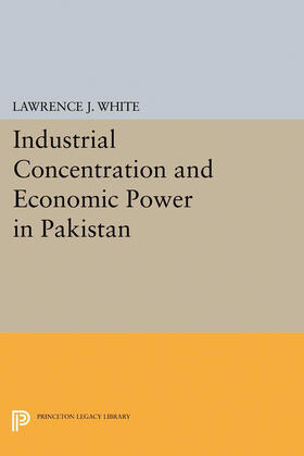 White | Industrial Concentration and Economic Power in Pakistan | E-Book | sack.de