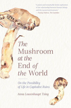 Tsing | The Mushroom at the End of the World | E-Book | sack.de