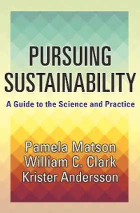Matson |  Pursuing Sustainability | eBook | Sack Fachmedien