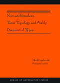 Hrushovski / Loeser |  Non-Archimedean Tame Topology and Stably Dominated Types (AM-192) | eBook | Sack Fachmedien